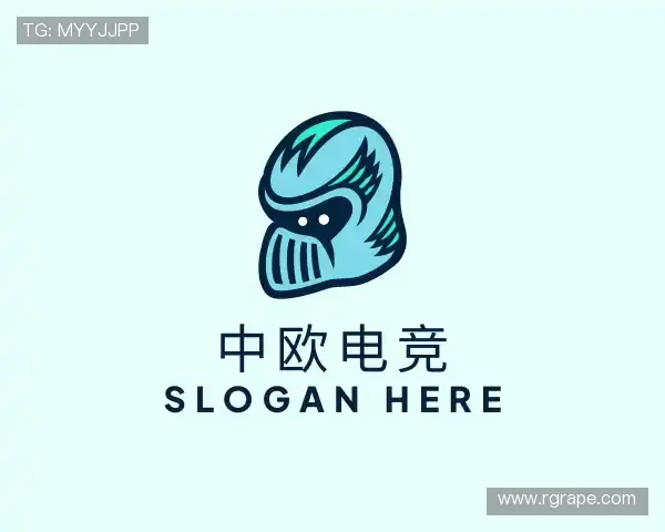 了解中欧电竞